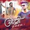 About Odhni Tuni Udi Udi Jaay (feat. Dj Bhaiya ) Song